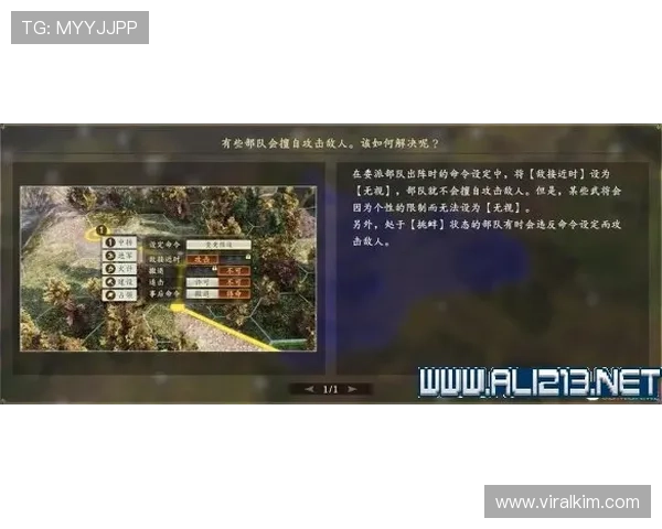 真人电子视讯注册流程详解帮助新手快速入门掌握技巧